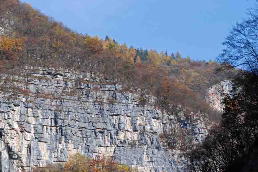 Vipera aspis francisciredi?